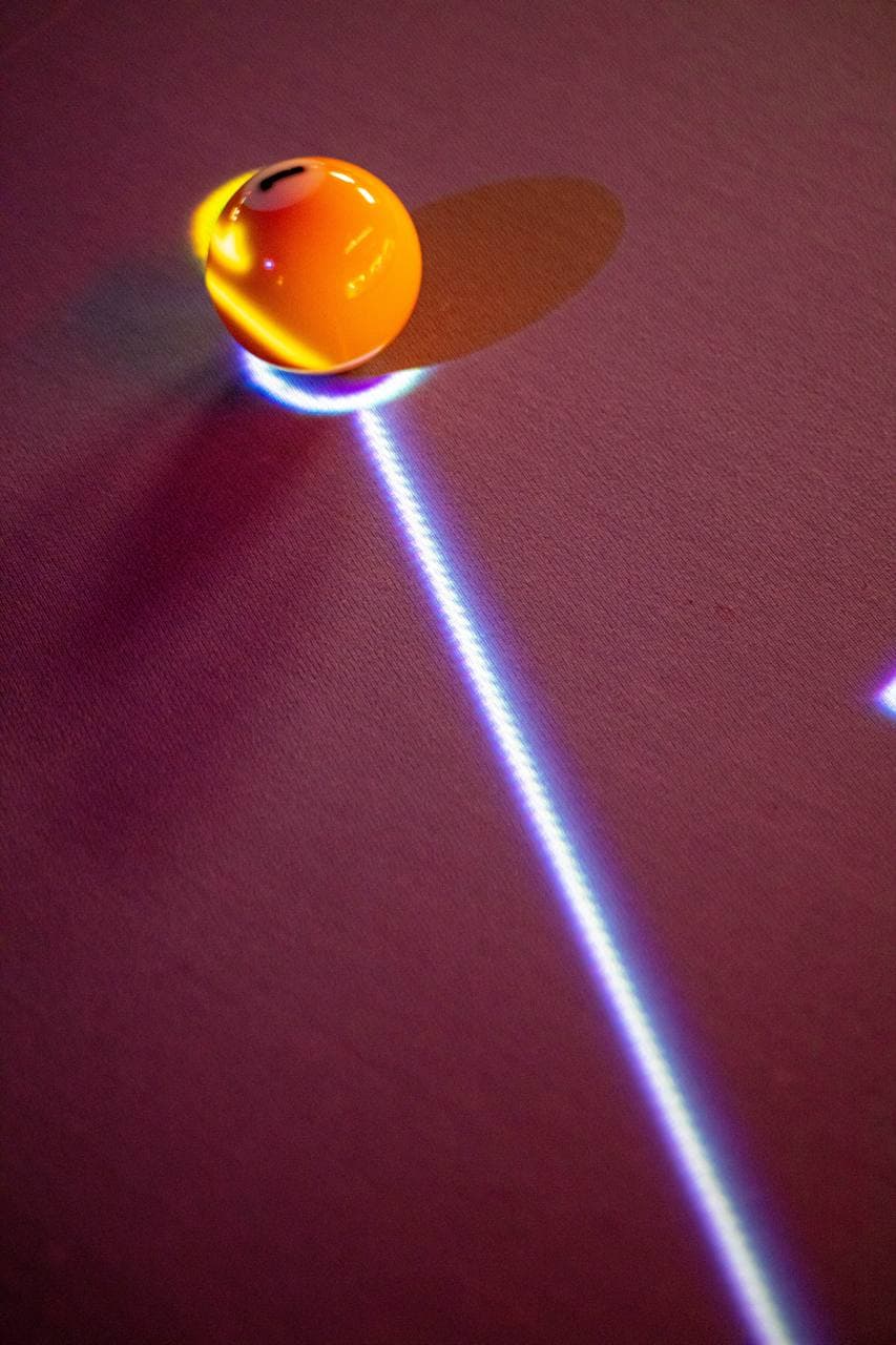 Galerijos nuotrauka 8